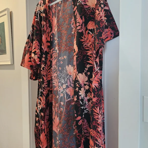 Duster - Picture 2 of 7